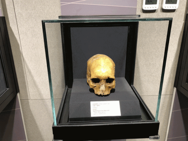 博物館Vol.016 | 周口店北京人遺址博物館