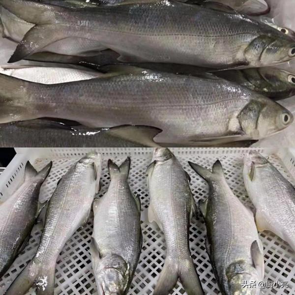 這12種深海魚的吃法，簡單、營養又美味！冬季多吃魚，補鈣又健腦