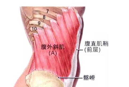 黃奕這是整殘了嗎？歪嘴臉僵硬變形還香腸嘴，太雷人了