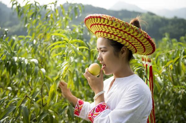 湖南這座城市不僅擁有“湘西最美高鐵”,還有沈從文最愛的開刀橘 湖南這座城市不僅擁有“湘西最美高鐵”,還有沈從文最愛的開刀橘