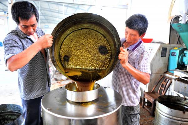 農村榨油用油枯抵加工費,誰是獲益方?油坊收取的油枯有何用途 農村榨油用油枯抵加工費,誰是獲益方?油坊收取的油枯有何用途