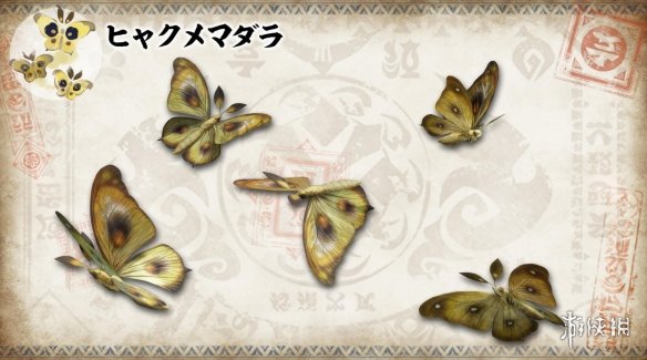 《怪獵:崛起》環境生物設定圖更新 酷似鳳凰的獄炎鳥 《怪獵:崛起》環境生物設定圖更新 酷似鳳凰的獄炎鳥