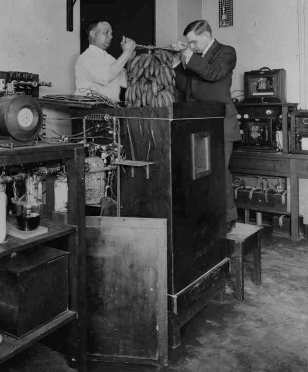 計算卡路里如何成為一門科學 計算卡路里如何成為一門科學