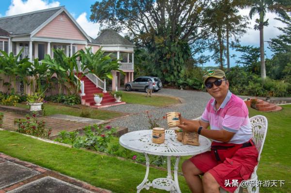 這個加勒比海小島國，除了盛產奧運冠軍，還有雷鬼音樂和藍山咖啡