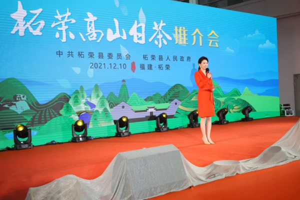 聚焦新業態！美學、科技、數字化…首屆茶生活展催生了多少可能？