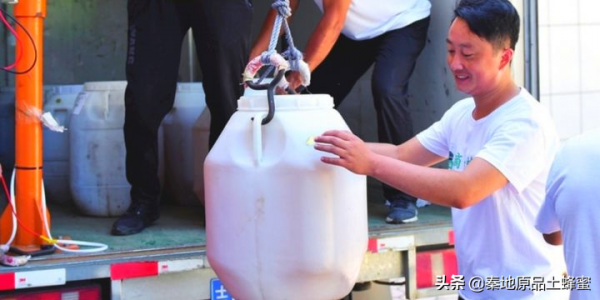 為什麼養蜂老齡化越來越嚴重「①意蜂農篇」