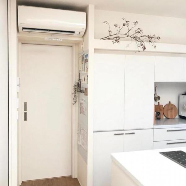 看了這位日本太太的家，我真的有被她的自律生活所折服，受教了