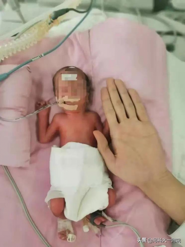 這些“臨時媽媽”們,用愛點亮新生兒的希望 這些“臨時媽媽”們,用愛點亮新生兒的希望