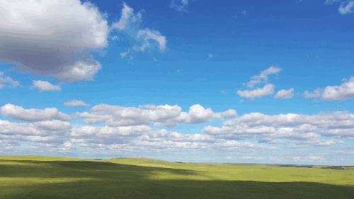 自駕邊境——風吹草低見牛羊 自駕邊境——風吹草低見牛羊