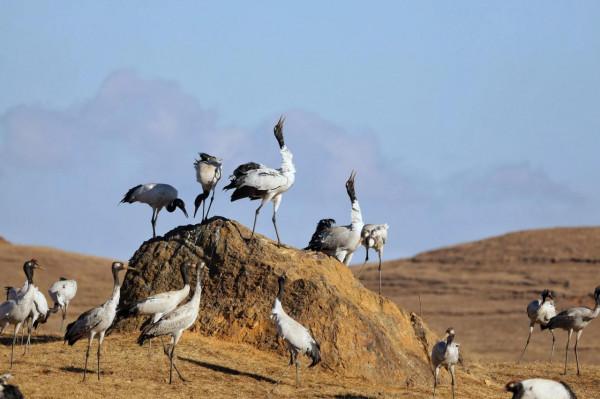 疫情困擾下，旅程依然勇毅前行——2021年個人自駕遊小結