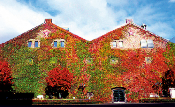 舊廠房不要再跟風做創意街區！8個全球驚豔改造案例給你新思路