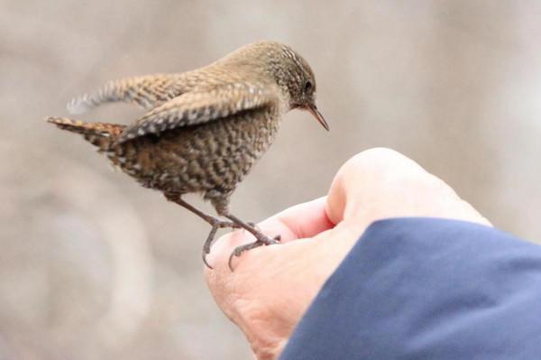 淵源共生，和諧共融