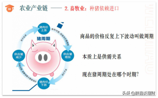 農業晶片——小種子迎來大風口 農業晶片——小種子迎來大風口