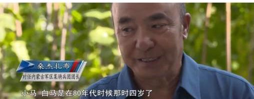 因拍《西遊記》被除去軍籍，最終落得屍骨無存，白龍馬的悲慘一生