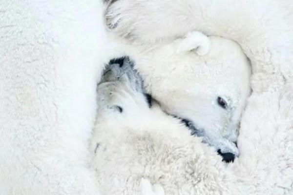 冬天雖冷,因為有你相擁而溫暖 冬天雖冷,因為有你相擁而溫暖