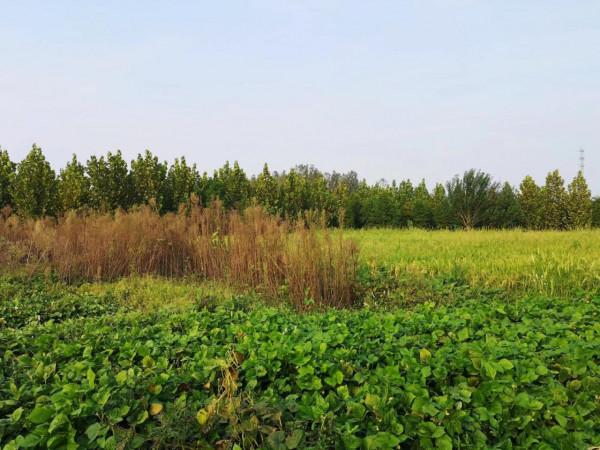 摩托周邊旮旯遊——尋朱元璋出家之於皇寺 摩托周邊旮旯遊——尋朱元璋出家之於皇寺