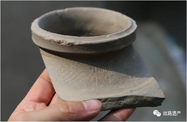 十大考古發現 | 商鞅變法的改革之都：秦漢櫟陽城遺址漸露真容