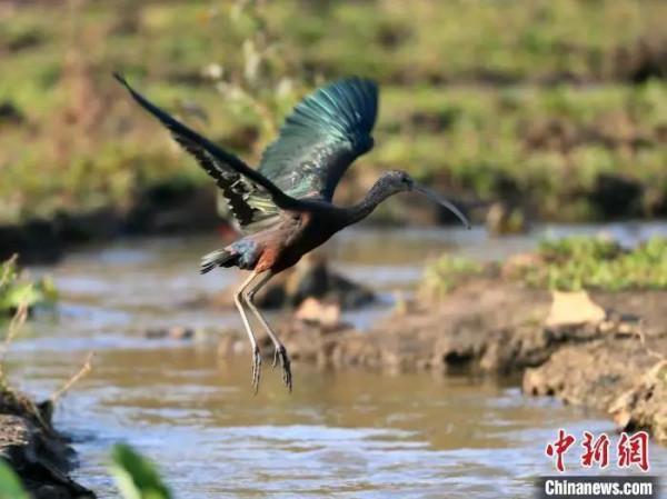 雲南到底有多美？誰沒去過誰後悔……