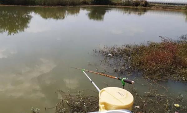 秋天下雨之後，魚兒都會躲在哪裡？找到它們連竿不斷