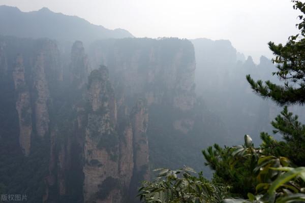 《生命緣》:三胞胎命懸一線,父親舉動令人淚目,最終結局如何? 《生命緣》:三胞胎命懸一線,父親舉動令人淚目,最終結局如何?