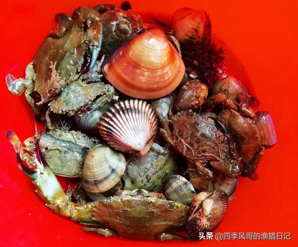 環海南親子5天4夜趕海行程：共享寒假時光