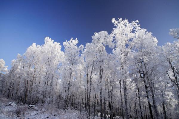 12月去哪玩?這8個美如畫卷的小眾打卡地,一到冬天就美成了仙境 12月去哪玩?這8個美如畫卷的小眾打卡地,一到冬天就美成了仙境