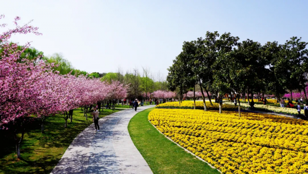 閔行體育公園&OpenCurlyDoubleQuote;千米花道&rdquo;