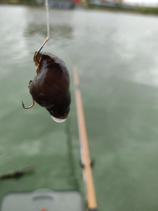 秋釣第四站:打卡寧波慈溪伏龍山下伏龍河 秋釣第四站:打卡寧波慈溪伏龍山下伏龍河