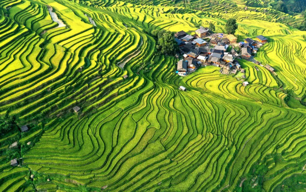 遇見貴州，人間煙火撫人心 | 為你心中黔地大美點個贊