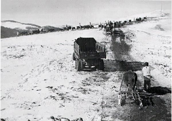 1950年，美軍向志願軍空投補給，美北極熊團落荒而逃，逃出幾人？