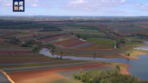 愛吃菠蘿的你不要錯過！打卡中國大陸最南端：“大陸之角”有片“菠蘿的海”