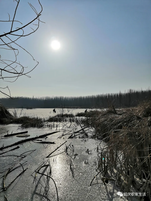 冰釣，享受冬季的樂趣