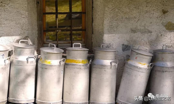 希臘一商人將5萬歐元積蓄藏在牛奶桶中，卻被合夥人當空桶賣了…