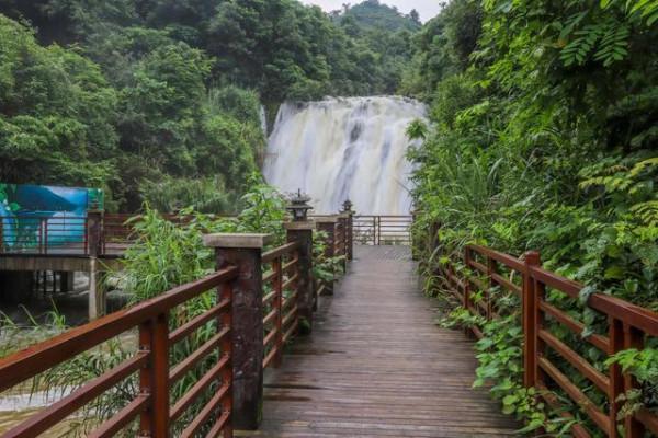 廣東最美的湖泊，碧綠如仙境，還是國家級溼地公園