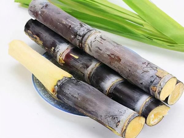 胃不好的人能吃甘蔗嗎?提醒:常見的3類水果,儘量遠離 胃不好的人能吃甘蔗嗎?提醒:常見的3類水果,儘量遠離