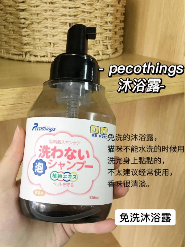 新手養貓最需要注意這個