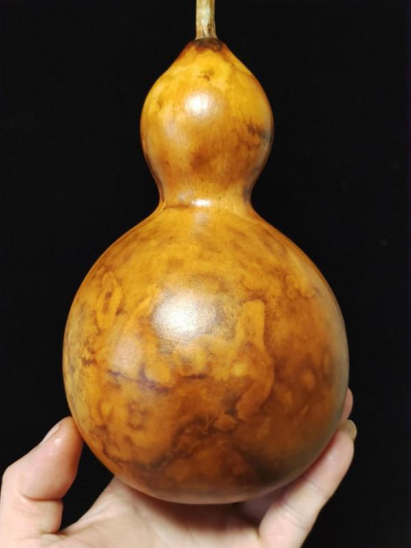 花皮酒葫蘆 準備開工