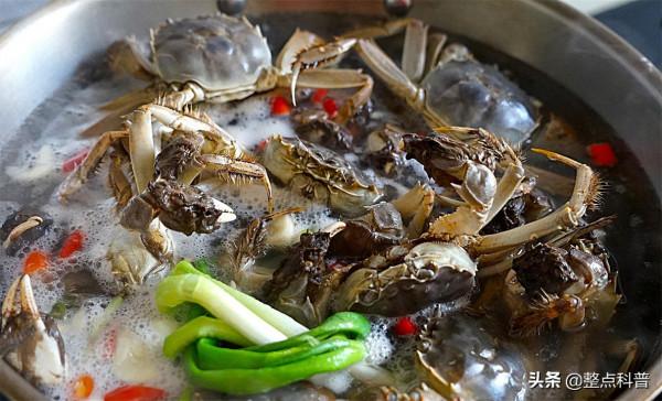 活煮螃蟹太殘忍？英國科學家發現：螃蟹能感知疼痛，呼籲別活煮