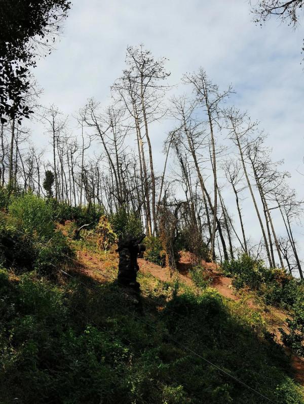 爬個瀘山居然累成一攤爛泥