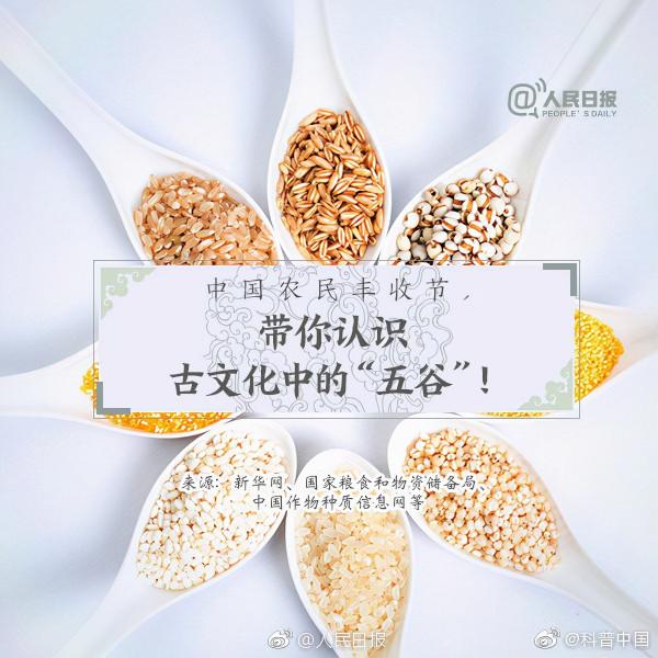 為什麼說五穀最養人？吃對穀物，心、肝、脾、肺、腎一把罩