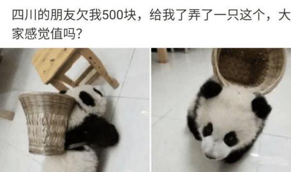 真相了，終於知道自己減肥為什麼一直失敗了