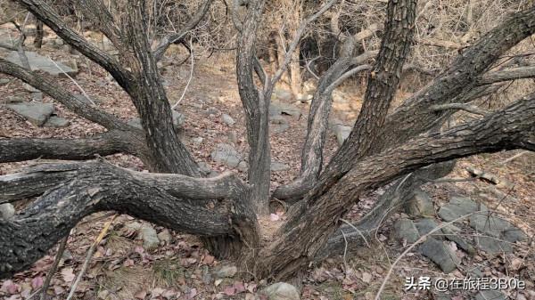 龍洞藏龍澗：大小“一線天”徒步攻略