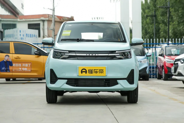 雷丁芒果新款家用代步，哪款配置更值得入手