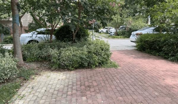 如此小巧便攜的三軸穩定器你用過嗎?隨拍ATOM2手機穩定器體驗 如此小巧便攜的三軸穩定器你用過嗎?隨拍ATOM2手機穩定器體驗