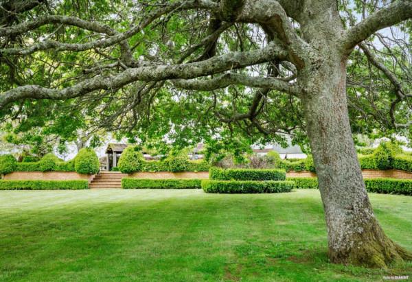 迷人的紐西蘭的戶外空間 迷人的紐西蘭的戶外空間
