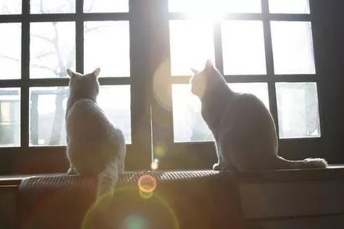 有一種成功叫堅持