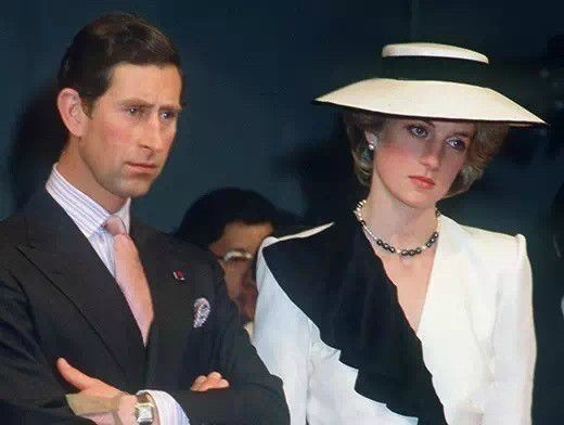 戴安娜下狠手：離婚掏空查爾斯家底，還用計謀讓卡米拉當不成王后