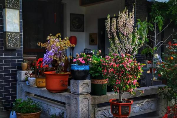養花人都該學會的4項技能,養花方便還能省錢,輕鬆提升養花經驗 養花人都該學會的4項技能,養花方便還能省錢,輕鬆提升養花經驗