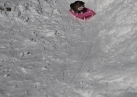 寒假來襲，“神獸”出籠！曾家山帶娃玩雪攻略來啦~