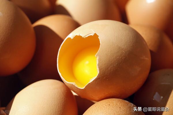 蛋價全面企穩！明日（10月29）預測